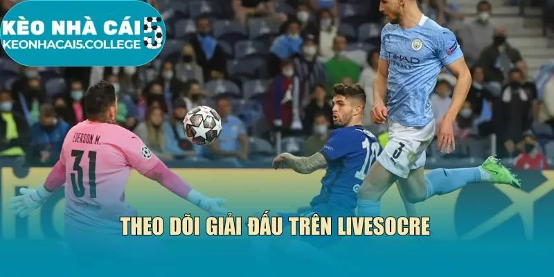 Theo dõi giải đấu trên livesocre